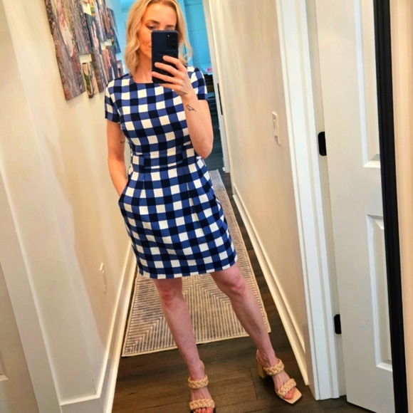 NWT 🔴 Cynthia Steffe Blue and White Checkered Dress - Size 0 - Picture 1 of 16